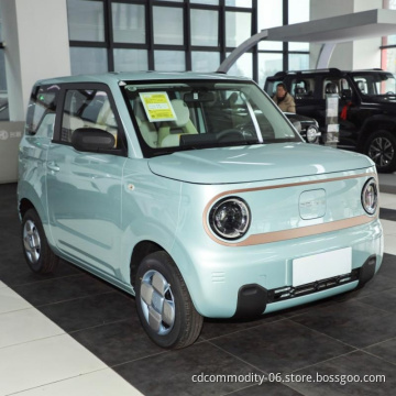 Cheap and High Quantity New Energy Vehicle Geely Panda Mini Car Cute New Electric Car for Sale